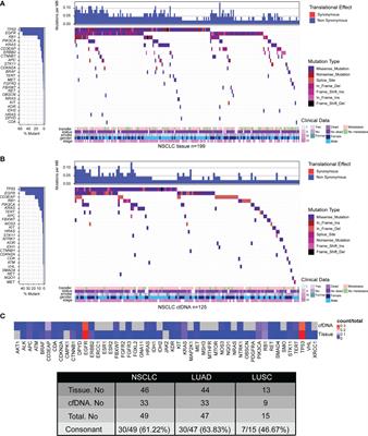 The Landscape of Actionable Genomic Alterations by Next-Generation Sequencing in Tumor Tissue Versus Circulating Tumor DNA in Chinese Patients With Non-Small Cell Lung Cancer